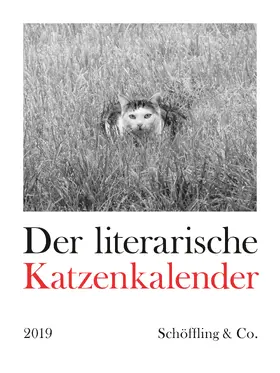 Bachstein |  Der literarische Katzenkalender 2019 | Sonstiges |  Sack Fachmedien