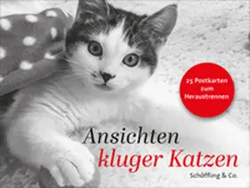 Bachstein |  Ansichten kluger Katzen | Buch |  Sack Fachmedien