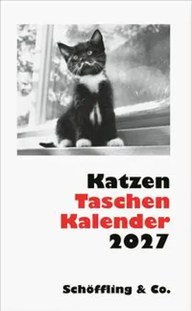 Bachstein |  Katzen Taschenkalender 2027 | Sonstiges |  Sack Fachmedien
