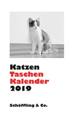 Bachstein | Katzen Taschenkalender 2019 | Sonstiges | 978-3-89561-778-2 | www.sack.de