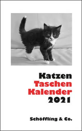 Bachstein |  Katzen Taschenkalender 2021 | Sonstiges |  Sack Fachmedien