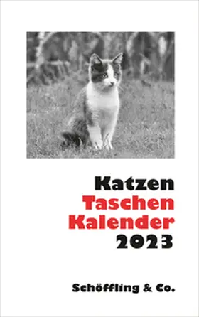 Bachstein | Katzen Taschenkalender 2023 | Sonstiges | 978-3-89561-782-9 | www.sack.de