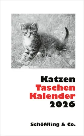 Bachstein |  Katzen Taschenkalender 2026 | Sonstiges |  Sack Fachmedien