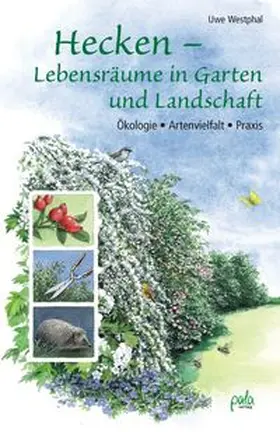 Westphal |  Hecken - Lebensräume in Garten und Landschaft | Buch |  Sack Fachmedien