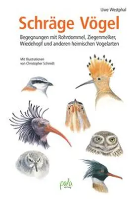 Westphal |  Schräge Vögel | Buch |  Sack Fachmedien