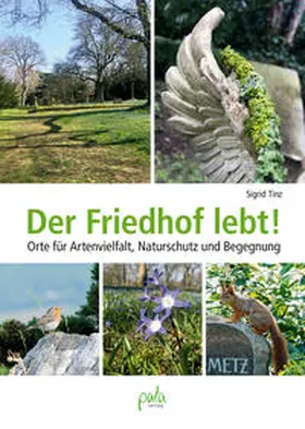 Tinz |  Der Friedhof lebt! | Buch |  Sack Fachmedien