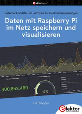 Brandes |  Daten mit dem Raspberry Pi im Netz speichern und visualisieren | Buch |  Sack Fachmedien