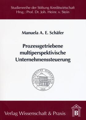 Schäfer | Prozessgetriebene multiperspektivische Unternehmenssteuerung. | E-Book | sack.de