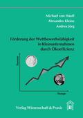 Hauff / Jörg / Kleine |  Förderung der Wettbewerbsfähigkeit in Kleinunternehmen durch Ökoeffizienz. | eBook | Sack Fachmedien