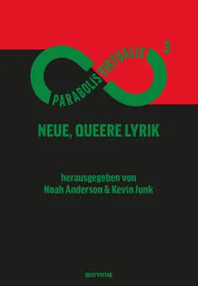 Junk / Anderson |  Parabolis Virtualis 3 | Buch |  Sack Fachmedien