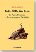 Ambuel |  Turtles All the Way Down | Buch |  Sack Fachmedien