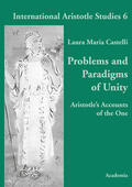 Castelli |  Problems and Paradigms of Unity | Buch |  Sack Fachmedien