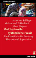 Schlippe / Hachimi / Jürgens |  Multikulturelle systemische Praxis | Buch |  Sack Fachmedien