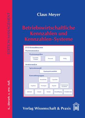 Meyer |  Betriebswirtschaftliche Kennzahlen und Kennzahlen-Systeme | Buch |  Sack Fachmedien