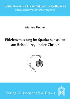 Tischer | Effizienzmessung im Sparkassensektor am Beispiel regionaler Cluster | Buch | 978-3-89673-601-7 | sack.de