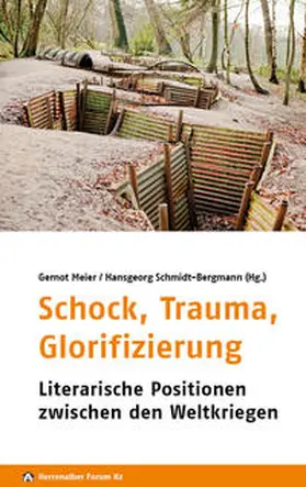 Krull / Nagel / Koch |  Schock, Trauma, Glorifizierung | Buch |  Sack Fachmedien