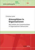 Julmi |  Atmosphären in Organisationen | Buch |  Sack Fachmedien