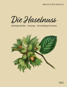 Wachsmuth |  Die Haselnuss | Buch |  Sack Fachmedien