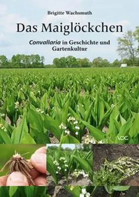 Wachsmuth |  Das Maiglöckchen | Buch |  Sack Fachmedien