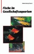 Evers |  Fische im Gesellschaftsaquarium | Buch |  Sack Fachmedien