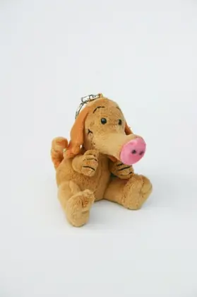 Frädrich |  Günter, der innere Schweinehund | Buch |  Sack Fachmedien