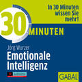 Wurzer |  30 Minuten für beruflichen Erfolg mit Emotionaler Intelligenz. CD | Sonstiges |  Sack Fachmedien