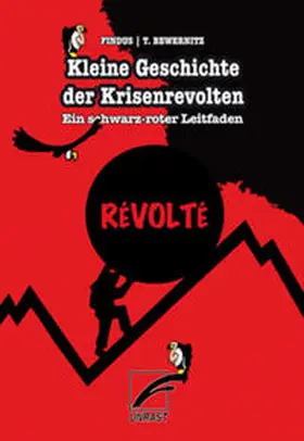Bewernitz |  Kleine Geschichte der Krisenrevolten – Ein schwarz-roter Leitfaden | Buch |  Sack Fachmedien