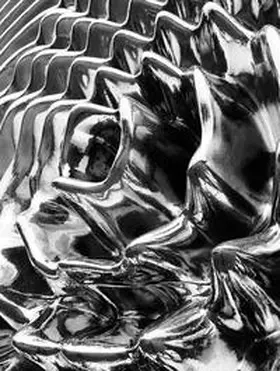 Veiteberg / Leppiniemi |  Bård Breivik – Sculpture | Buch |  Sack Fachmedien