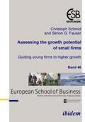 Schmid / Fauser |  Assessing the growth potential of small firms | Buch |  Sack Fachmedien