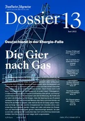 Management / Braunberger / Knop |  Die Gier nach Gas | eBook | Sack Fachmedien