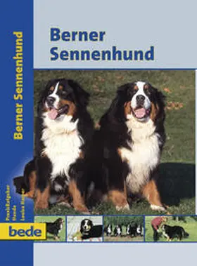 Harper |  Berner Sennenhund | Buch |  Sack Fachmedien
