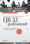Ihns / Heldt / Koschek |  EJB 3.1 professionell | Buch |  Sack Fachmedien