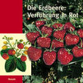 Fox / Hinrichsen / Langley |  Die Erdbeere: Verführung in Rot | Buch |  Sack Fachmedien