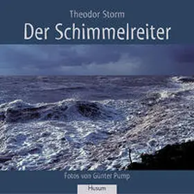 Storm |  Der Schimmelreiter | Buch |  Sack Fachmedien