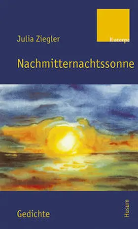 Ziegler |  Nachmitternachtssonne | Buch |  Sack Fachmedien