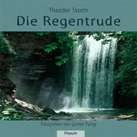 Storm |  Die Regentrude | Buch |  Sack Fachmedien