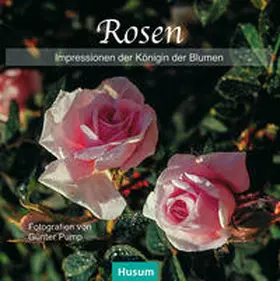  Rosen | Buch |  Sack Fachmedien
