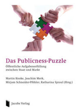 Knoke / Merk / Schneider-Pföhler | Das Publicness-Puzzle | Buch | 978-3-89918-230-9 | sack.de