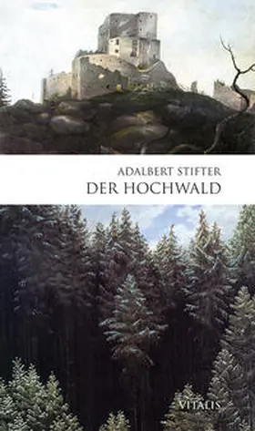 Stifter |  Der Hochwald | Buch |  Sack Fachmedien