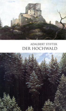 Stifter | Der Hochwald | Buch | 978-3-89919-502-6 | sack.de