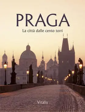 Salfellner |  Praga | Buch |  Sack Fachmedien