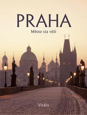 Salfellner |  Praha | Buch |  Sack Fachmedien