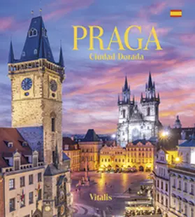 Salfellner |  Praga | Buch |  Sack Fachmedien
