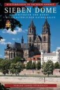 Antz / Schulze / Köster |  Kulturreisen in Sachsen-Anhalt 7. Sieben Dome | Buch |  Sack Fachmedien