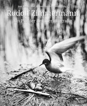 Hering / Saemann / Tolkmitt |  Rudolf Zimmermann | Buch |  Sack Fachmedien
