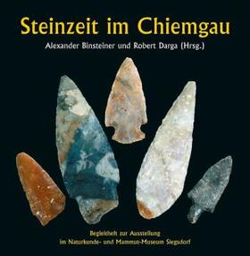 Binsteiner / Darga |  Steinzeit im Chiemgau | Buch |  Sack Fachmedien