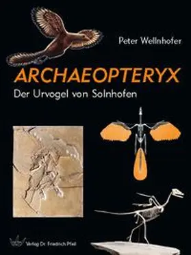 Wellnhofer | Archaeopteryx | Buch | 978-3-89937-076-8 | sack.de