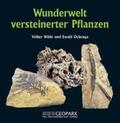 Wilde |  Wunderwelt versteinerter Pflanzen | Buch |  Sack Fachmedien