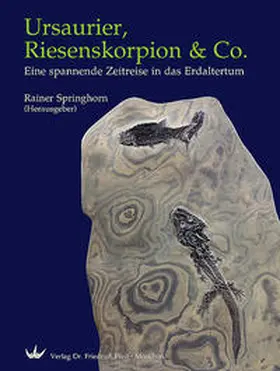 Springhorn |  Ursaurier, Riesenskorpion & Co. | Buch |  Sack Fachmedien