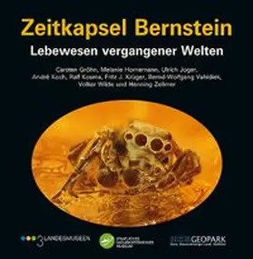GRÖHN / HORNEMANN / JOGER |  Zeitkapsel Bernstein – Lebewesen vergangener Welten | Buch |  Sack Fachmedien